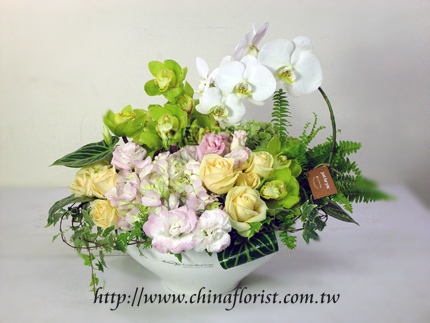 �s��:B00048-1 - �������֪�