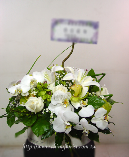 �s��:B00050-1 - �ڭ��ɩ|��§