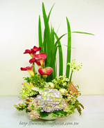 �s��:B0056 - �ɩ|�L�Q��§-A19