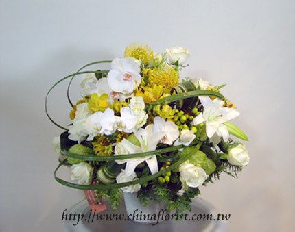 �s��:B00077-1 - �ɩ|�嶮