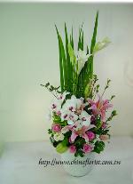 �s��:B00091-1 - ��o�֪�