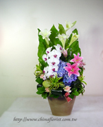 �s��:B0092 - �ɩ|�L�Q��§-A21