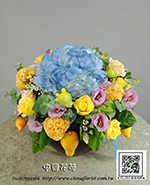 �s��:B001005 - �ɩ|�L�Q��§