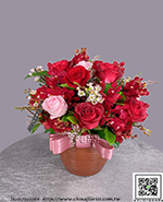 編號: B001017 - 時尚尊貴花禮-玫瑰花盆花