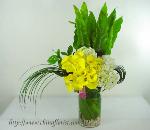 �s��:B00123-1 - ���X�n-������