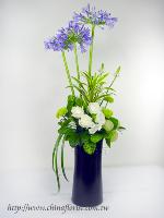 �s��:B00133-1 - �嶮��o�֪�