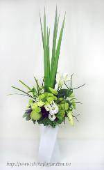 �s��:B00134-1 - ������o�֪�