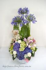 �s��:B00139-1 - �i�R�p����o�֪�