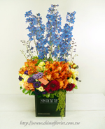 �s��:B00167 - �ɩ|�L�Q��§-A5