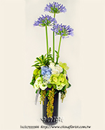 �s��:B00282�@ - �ɩ|�ڦ��֪�A208