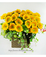 �s��:B00314 - �ɩ|�L�Q��§-A9