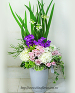 �s��:B00342  - �ɩ|�L�Q��§-A12