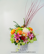 �s��:B00361 - �ɩ|�ڦ��֪�A102