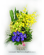 �s��:B00363 - �ɩ|�ڦ��֪�A105