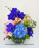 �s��:B00364 - �ɩ|�ڦ��֪�A106