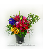 �s��:B00365 - �ɩ|�ڦ��֪�A107