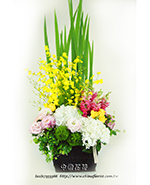 �s��:B00366 - �ɩ|�ڦ��֪�A108