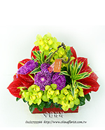 �s��:B00367 - �ɩ|�ڦ��֪�A109