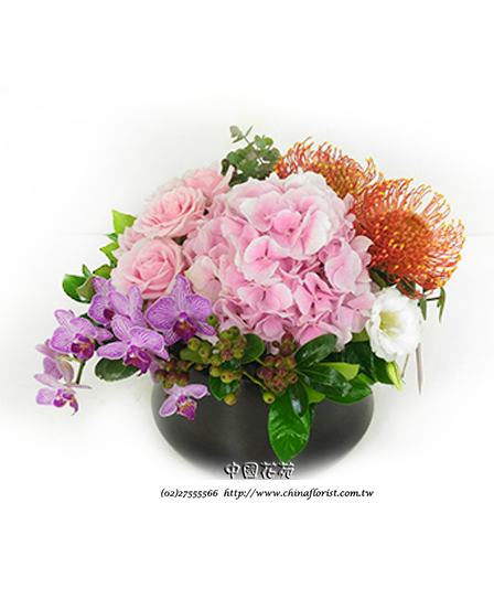 �s��:B00367 - �ɩ|�ڦ��֪�A106