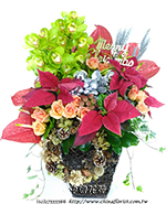編號:B00374 - 聖誕節歐式盆花