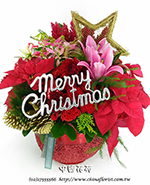 編號:B00375 - 高雅耶誕系列-A112