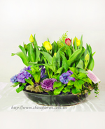 �s��:B0057 - �{���� �ڦ��֪�