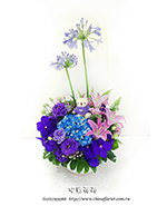 �s��:B00916 - �ɩ|�ڦ��֪�