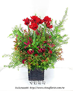 �s��:B00917 - �ɩ|�ڦ��֪�