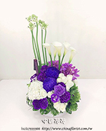 �s��:B00919 - �ɩ|�ڦ��֪�