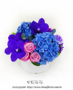 �s��:B00920 - �ɩ|�ڦ��֪�