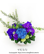 �s��:B00921 - �ɩ|�ڦ��֪�