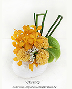 �s��:B00936 - �ɩ|�ڦ��֪�