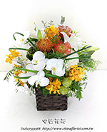 �s��:B00937 - �ɩ|�ڦ��֪�