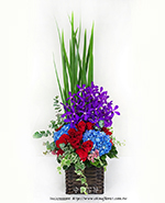 �s��:B00940 - �ɩ|�ڦ��֪�