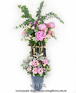 �s��:B00970  - �d������