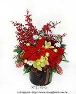 �s��:B00976 - �C�ϯ��� 