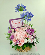 �s��:B00985 - ���˸`��§_�P��-���} �ڷR�z !!