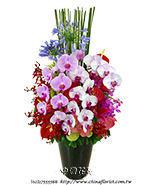 �s��:B00986 - �������֪�