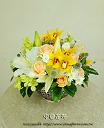 �s��:B00988 - �ڭ��ɩ|��§