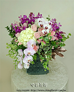 �s��:B00990 - �ڭ��ɩ|��§