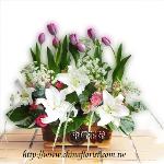 �s��:BL180010 - ����