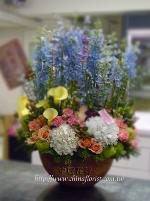 �s��:B0003 - ���֬�ë