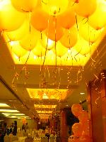 �s��:V002 - �ӫ~�W��