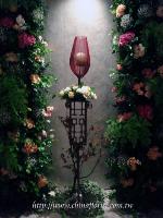 �s��:m00015 - ���B�|��