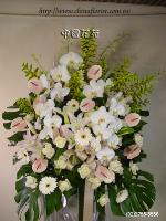 �s��:AD00018 - �ڭ����N���x