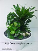 �s��:GE06151 - ���iù