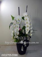 �s��:B0002001 - ������