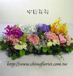 �s��:DSC06566 - �}��