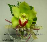 �s��:as6609 - �ݪ�