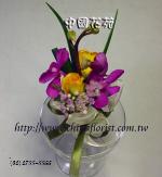 �s��:as6640 - �ݪ�